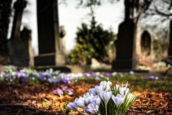 flowers in cemetery